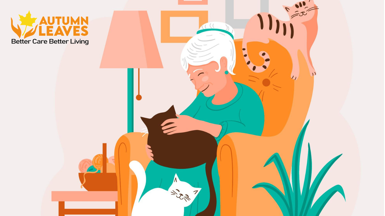 Pet Therapy for Seniors: Benefits of Companion Animals in Aged Care
