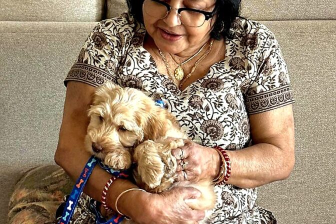 Pet Therapy : How Animals Bring Joy to Elderly Lives