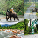 senior travel tips