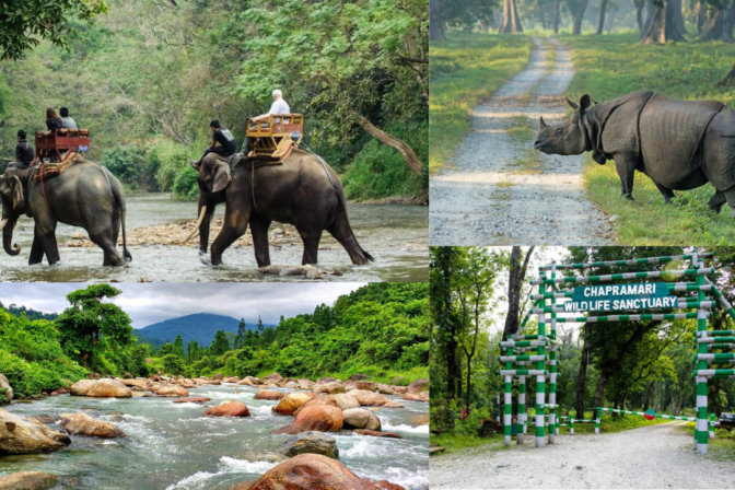 Tips for Planning a Safe Vacation with Elderly Family Members