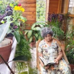 what to do after an elderly parent falls at home